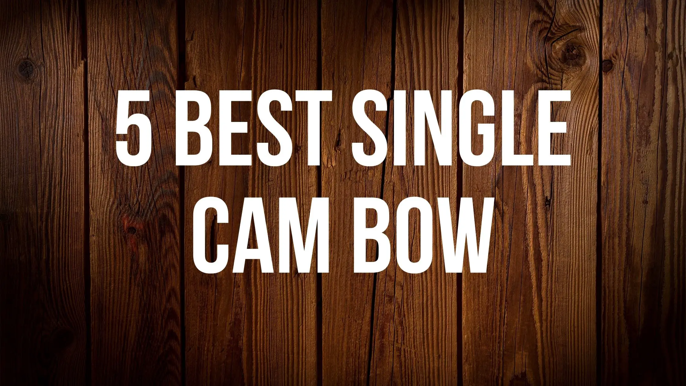 5 BEST SINGLE CAM BOW