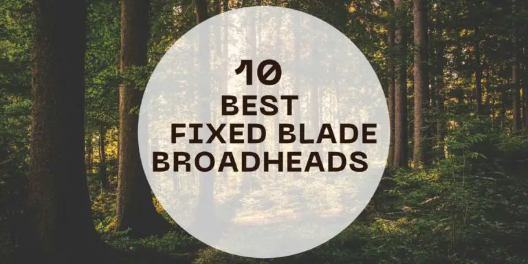 10 Best Fixed Blade Broadheads (2024 Guide)