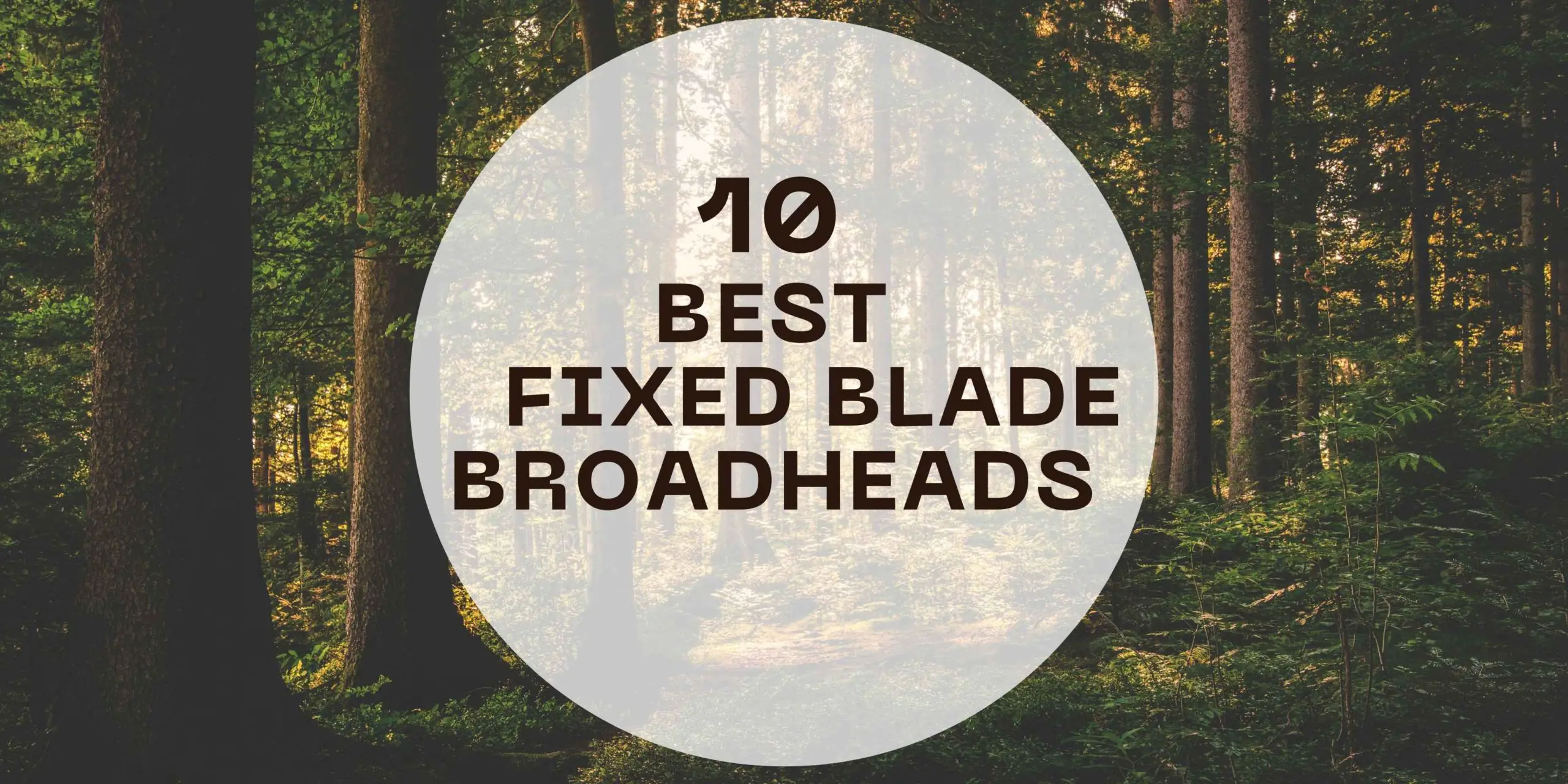 BEST FIXED BLADE BROADHEADS
