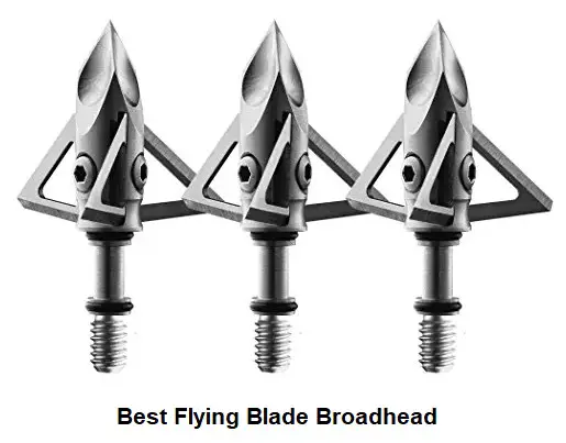 Best Flying Blade Broadhead