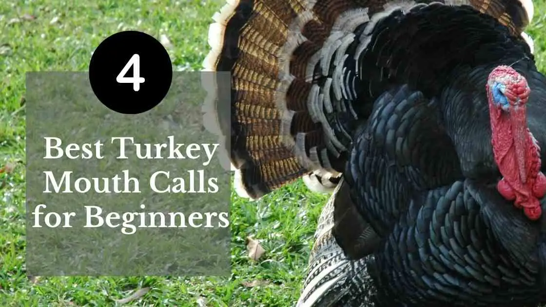 Primos Spring Turkey Call 4 Pak Pack Diaphragms Calls Lot Of 4  Turkey Hunting 