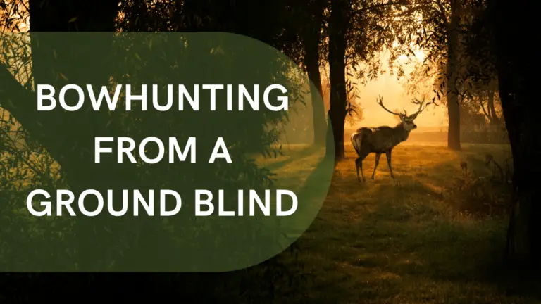 Bowhunting from a ground blind: How to get the best shot