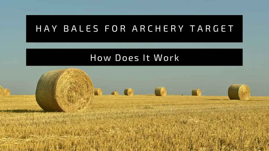 hay bales for archery target