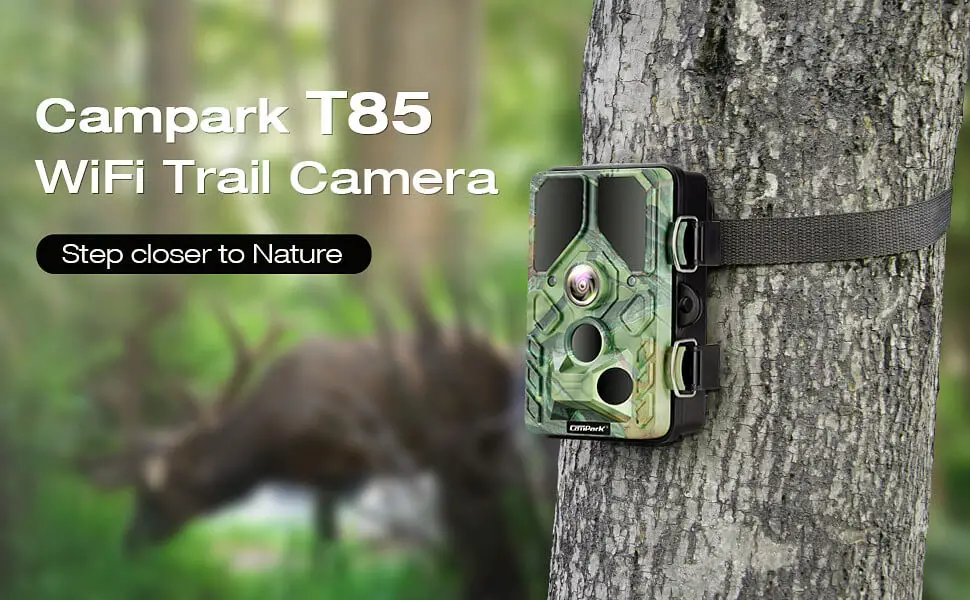 Cheap Trail Cameras
