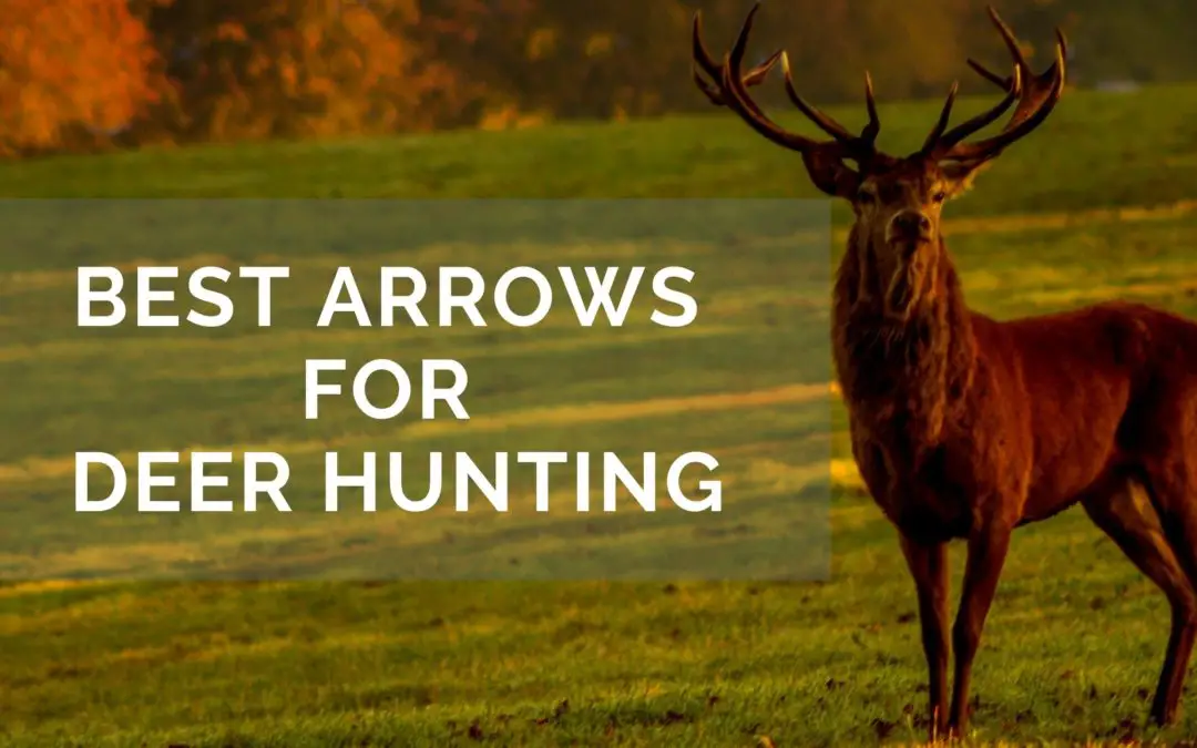Best Arrows for Deer Hunting