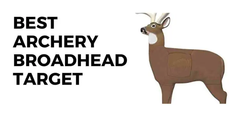 5 Best Archery Broadhead Target (2023 Review)