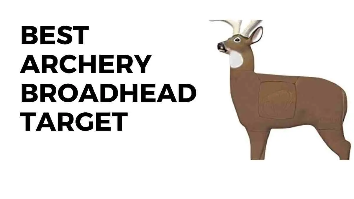 best archery broadhead target