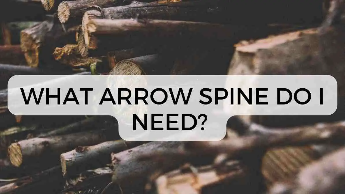 what arrow spine do i need