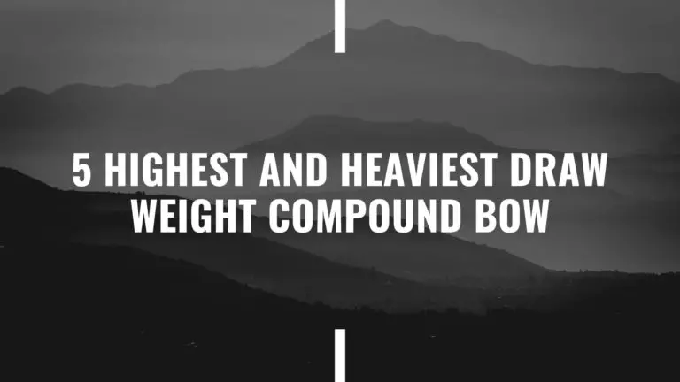 5 Highest and Heaviest Draw Weight Compound Bow