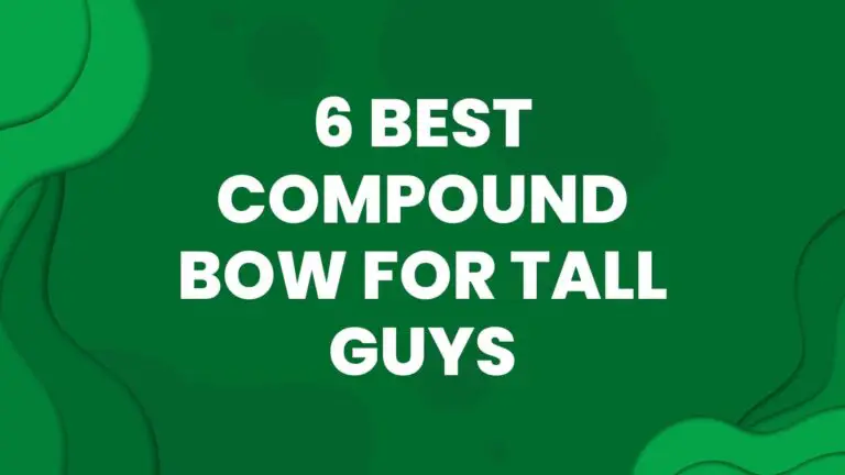 6 Best Compound Bow for Tall Guys in 2024