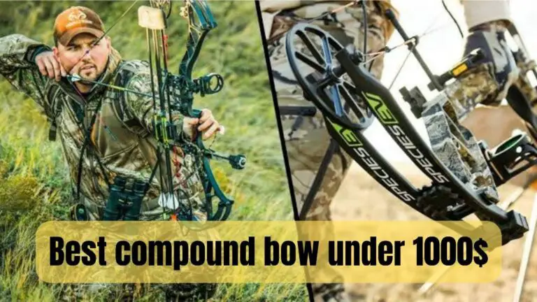 Best compound bow under $1000!