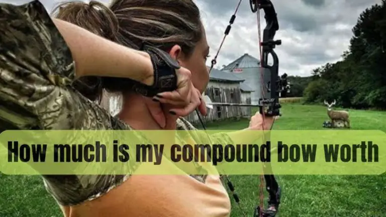 How Much Is My Compound Bow Worth in 2024?