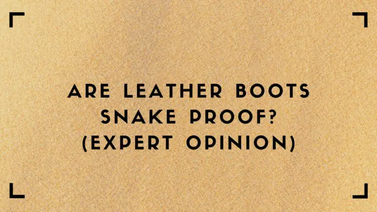 Are Leather Boots Snake Proof (Expert Opinion)