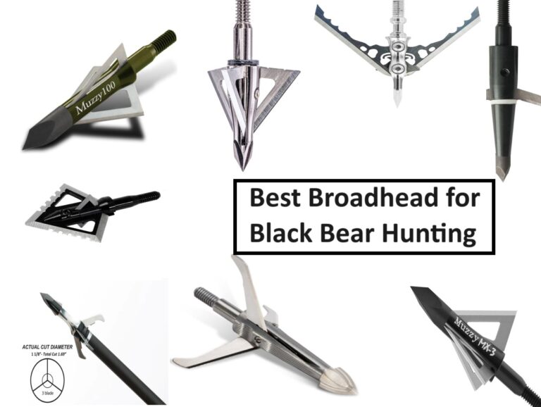 Best Broadhead for Black Bear (2024 Update)
