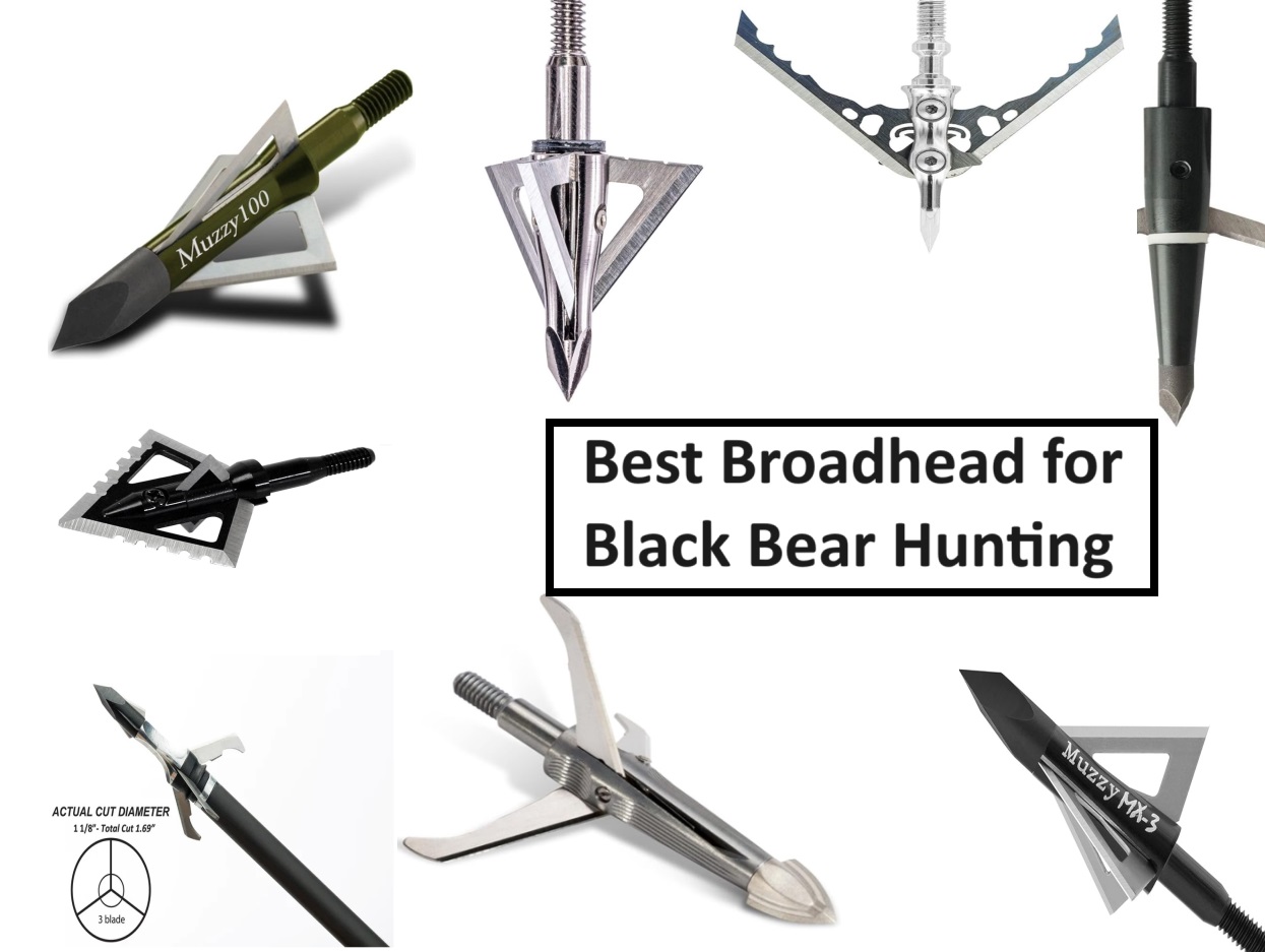 best broadhead for black bear hunting